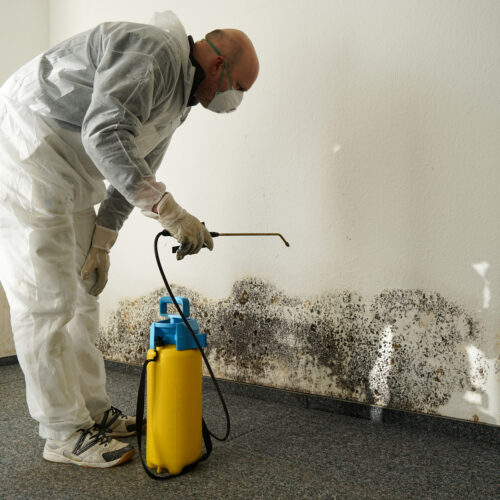 Mold Remediation