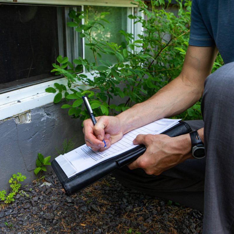 Mold Inspection